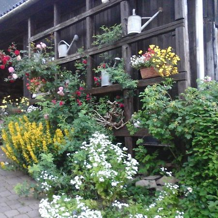 Urlaub Auf Dem Bauernhof Apartment Аугустусбург Екстериор снимка